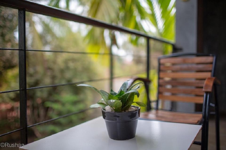 סיאם ריפ Apsara Greenland Boutique Hotel מראה חיצוני תמונה